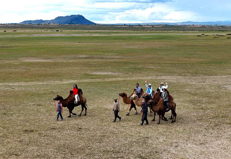 Camel riding in Mongolia